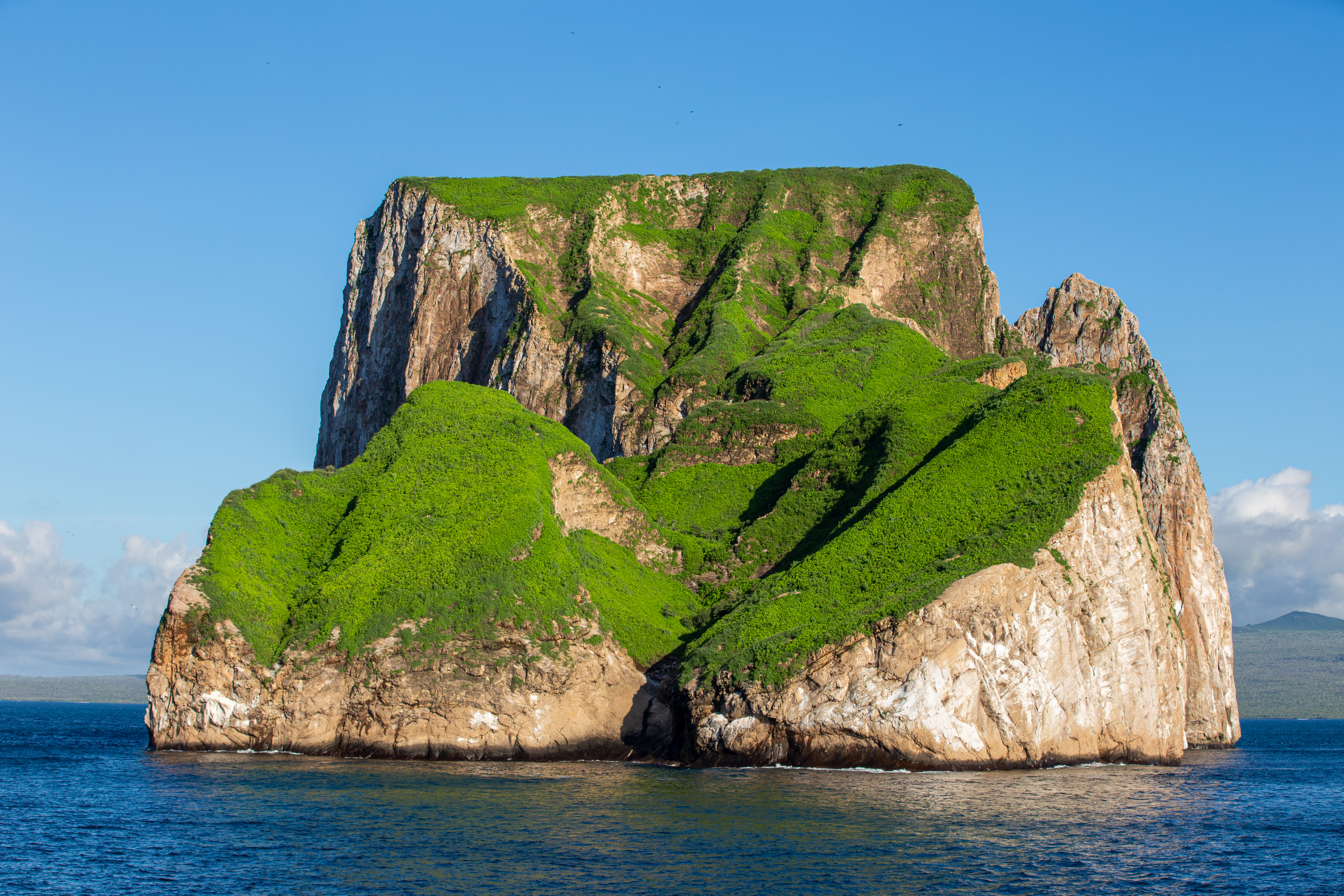 Steep cliffs of Kicker Rock with bright green vegetation covering the top